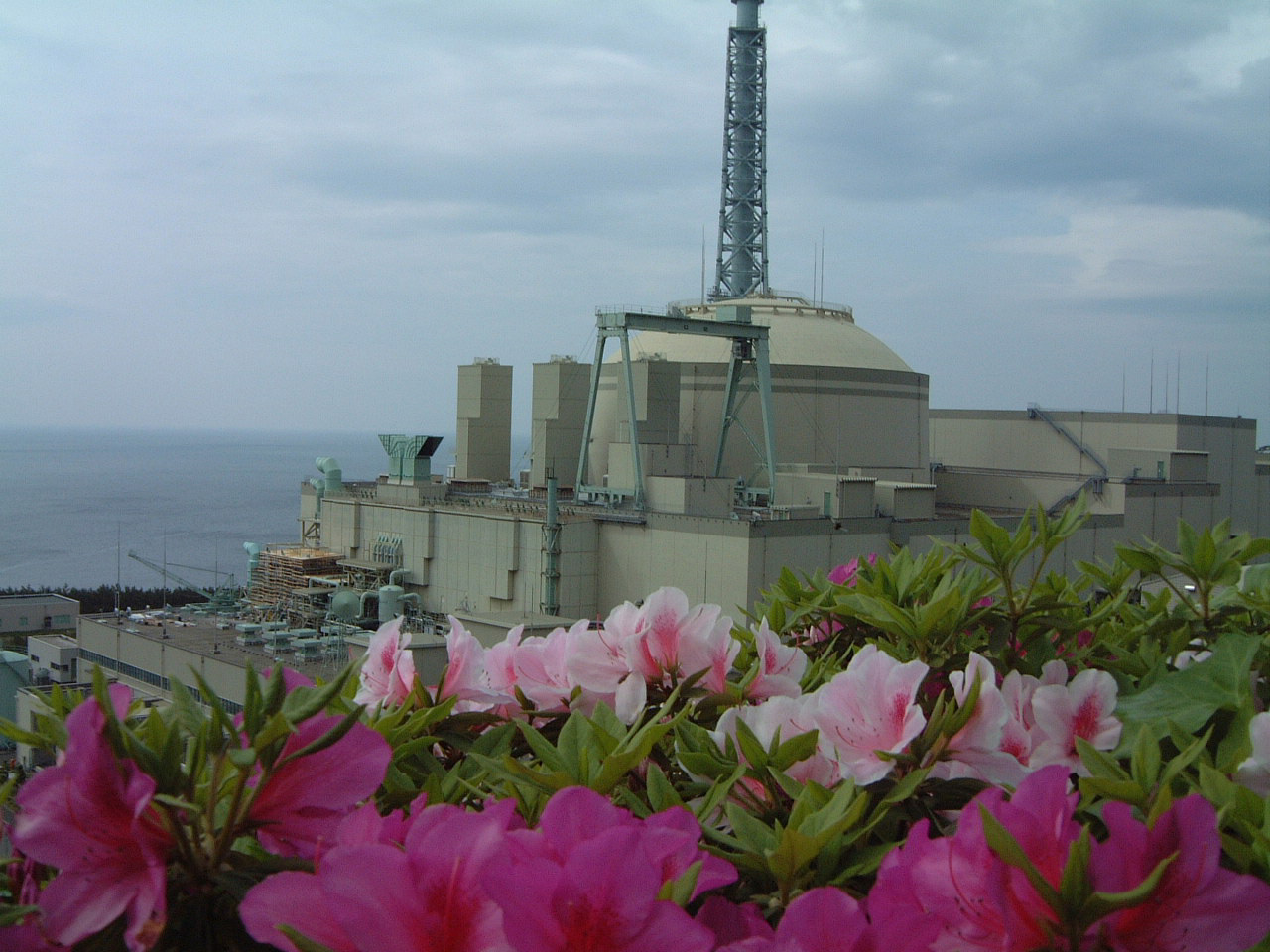 Nucléaire mon amour ... - Page 9 Monju.exterior+flowers1